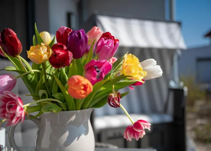 Lägenhet Haus Luett Schick Feenja